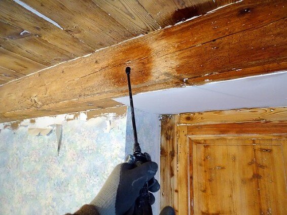 Traitement de termites charpente couvreur Saint Denis de Pile